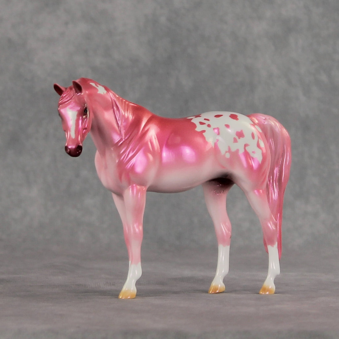 Baddie OOAK Pebble Arabian Mare by Erin Corbett VV26