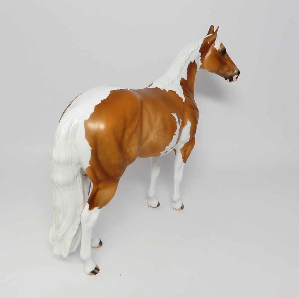 BADLANDS-LE-5 DAPPLE PALOMINO ISH EQ 2017