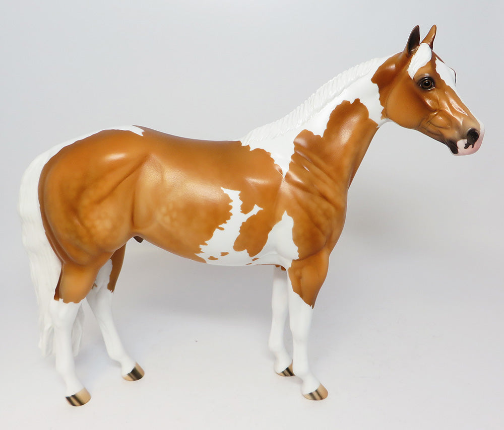 BADLANDS-LE-5 DAPPLE PALOMINO ISH EQ 2017