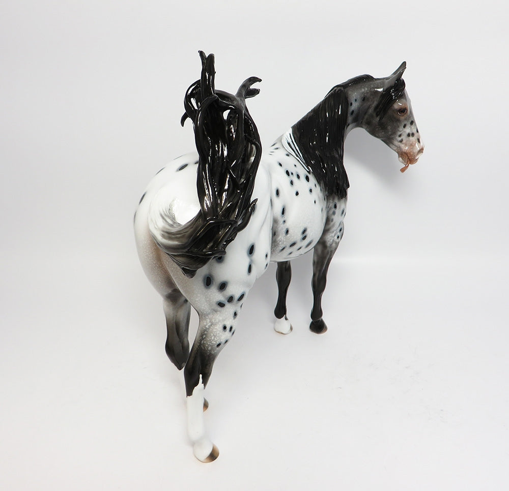 Appaloosa