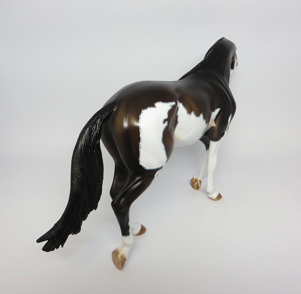 BARACUDA-OOAK BAY PINTO WITH MAPPING THOROUGHBRED MODEL HORSE WHS 2017