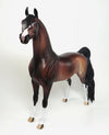 PAINT ARABIAN 