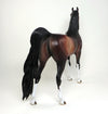 BAY PAINT ARABIAN