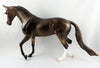 Thoroughbred