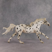 Beanie LE-5 EFCM Volo by Jess Hamill & Kristen Cermele EQ26
