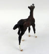 FOAL