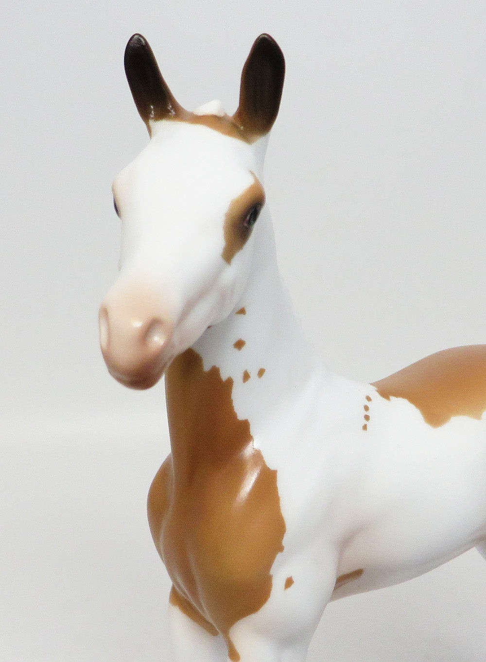 BEAR EARS-LE-15 BUCKSKIN PINTO FOAL MODEL HORSE EQ 17