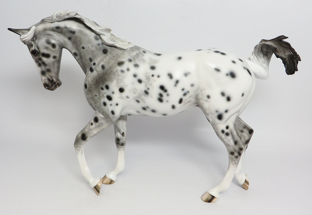 BELIEVE~OOAK LOUD APPALOOSA THOROUGHBRED MODEL HORSE 5/1