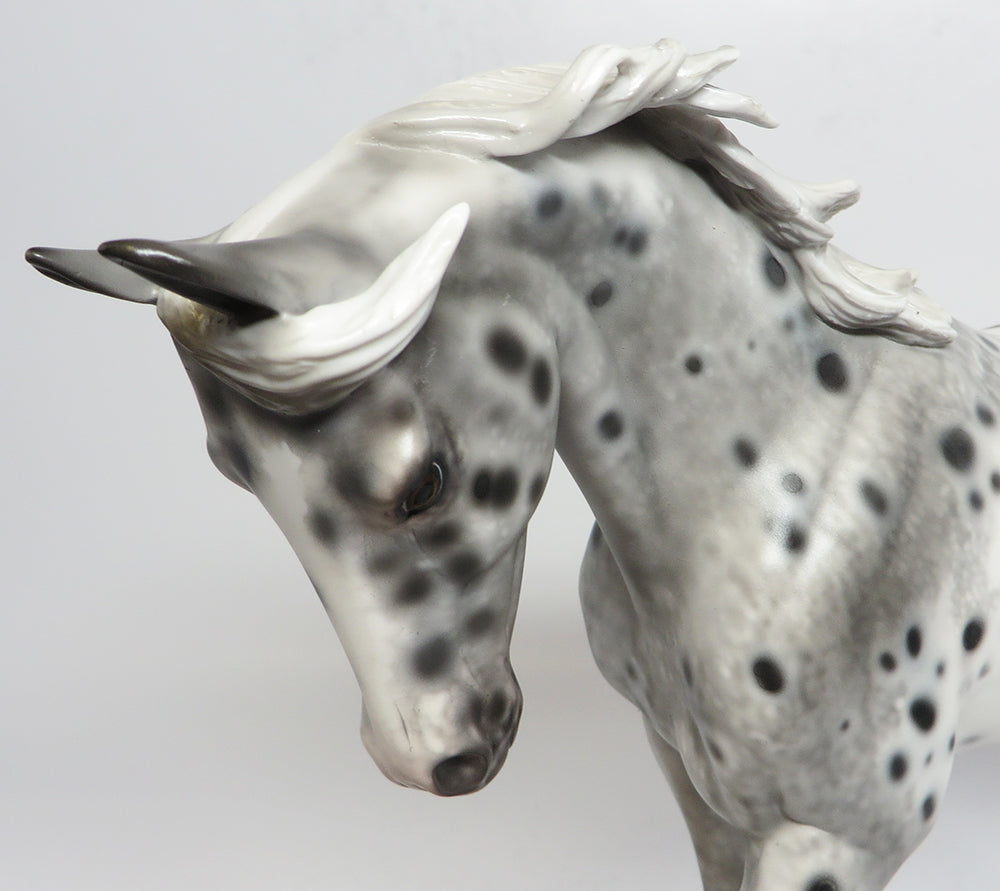 BELIEVE~OOAK LOUD APPALOOSA THOROUGHBRED MODEL HORSE 5/1