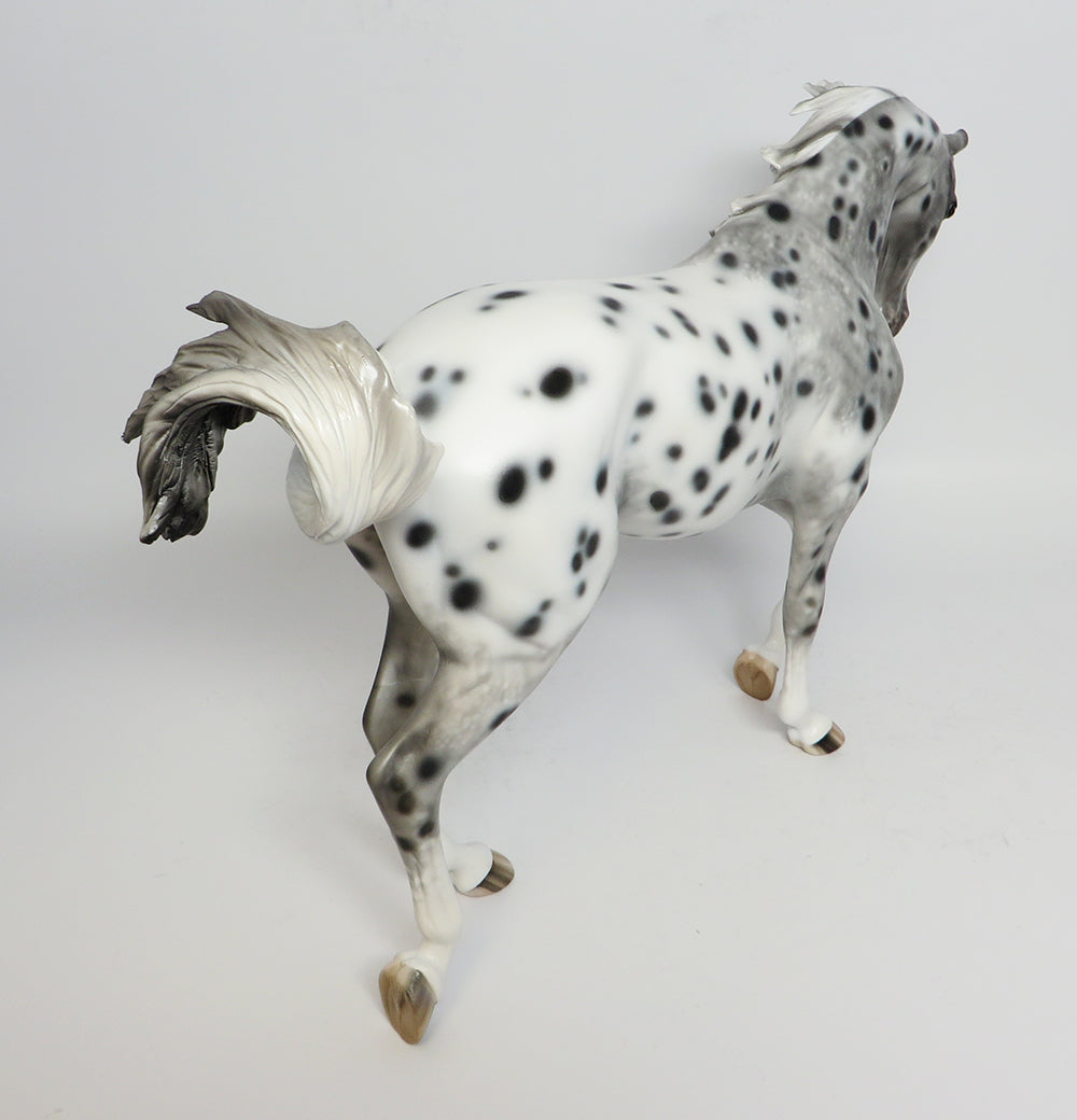 BELIEVE~OOAK LOUD APPALOOSA THOROUGHBRED MODEL HORSE 5/1