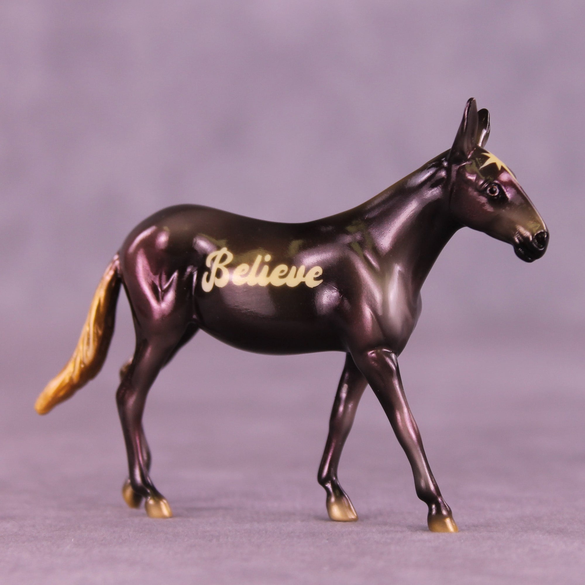 Believe &amp; Shine OOAK Chip Mule by Enrique Duarte HS25