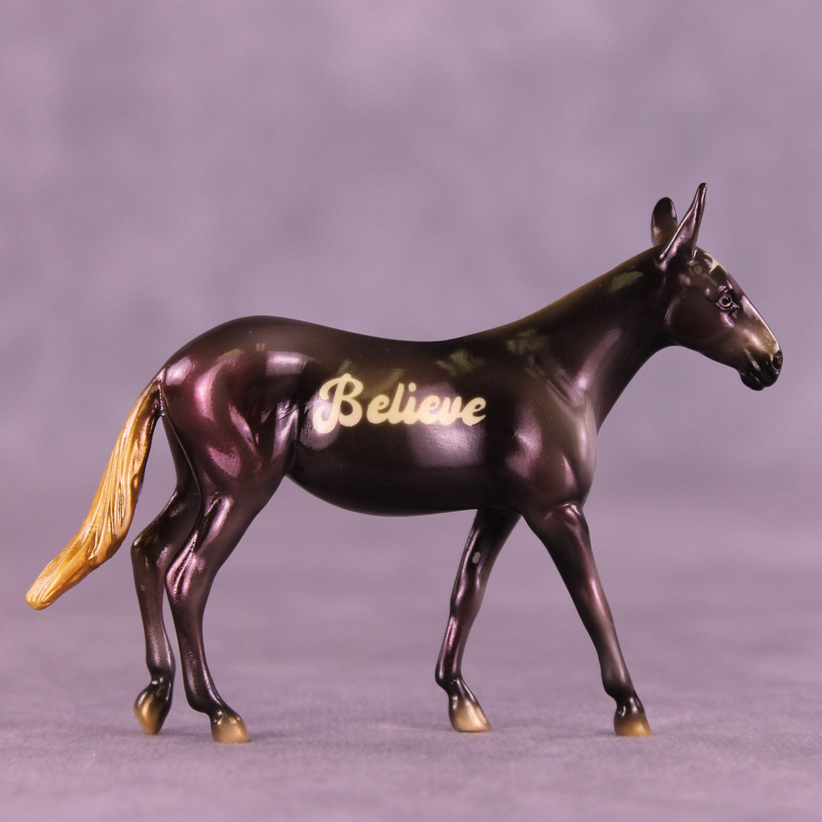 Believe & Shine OOAK Chip Mule by Enrique Duarte HS25