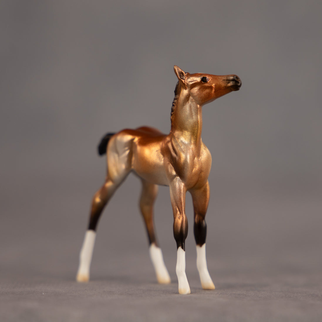 Bell OOAK Chip Foal by Dawn Quick EQ26
