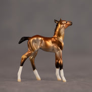 Bell OOAK Chip Foal by Dawn Quick EQ26