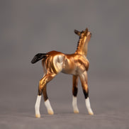 Bell OOAK Chip Foal by Dawn Quick EQ26