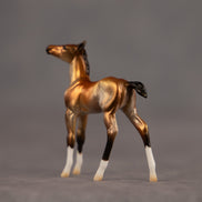 Bell OOAK Chip Foal by Dawn Quick EQ26