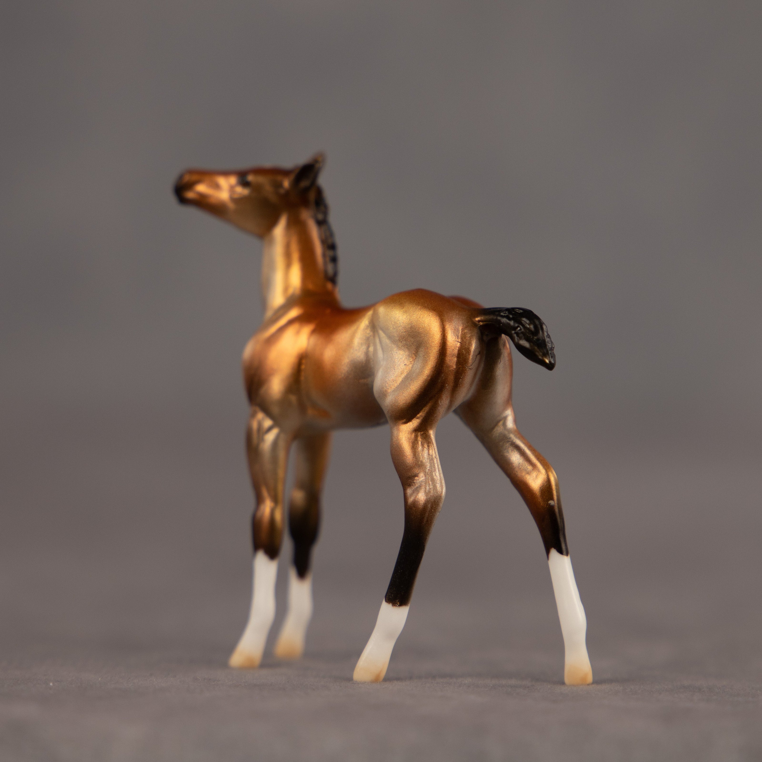 Bell OOAK Chip Foal by Dawn Quick EQ26