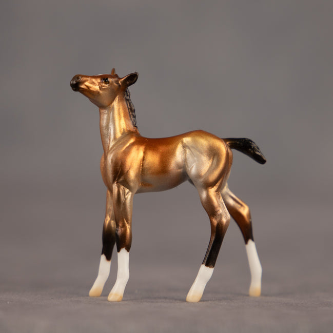 Bell OOAK Chip Foal by Dawn Quick EQ26