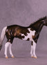 Benji OOAK FCM Ideal Stock Horse by Angela Marleau HS25