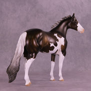 Benji OOAK FCM Ideal Stock Horse by Angela Marleau HS25