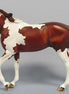 BIG RED ROBE - Paint Thoroughbred