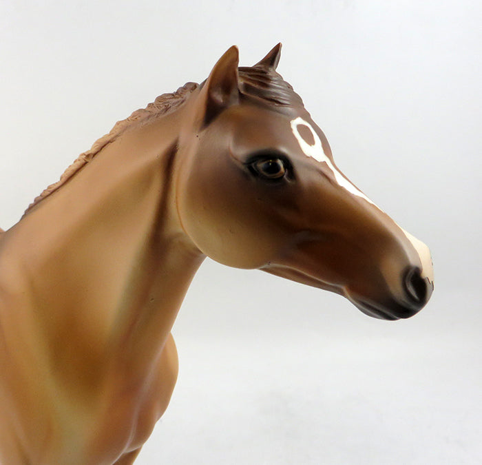 BILLINGS-OOAK RED DUN SPANISH MUSTANG MODEL HORSE 2/3