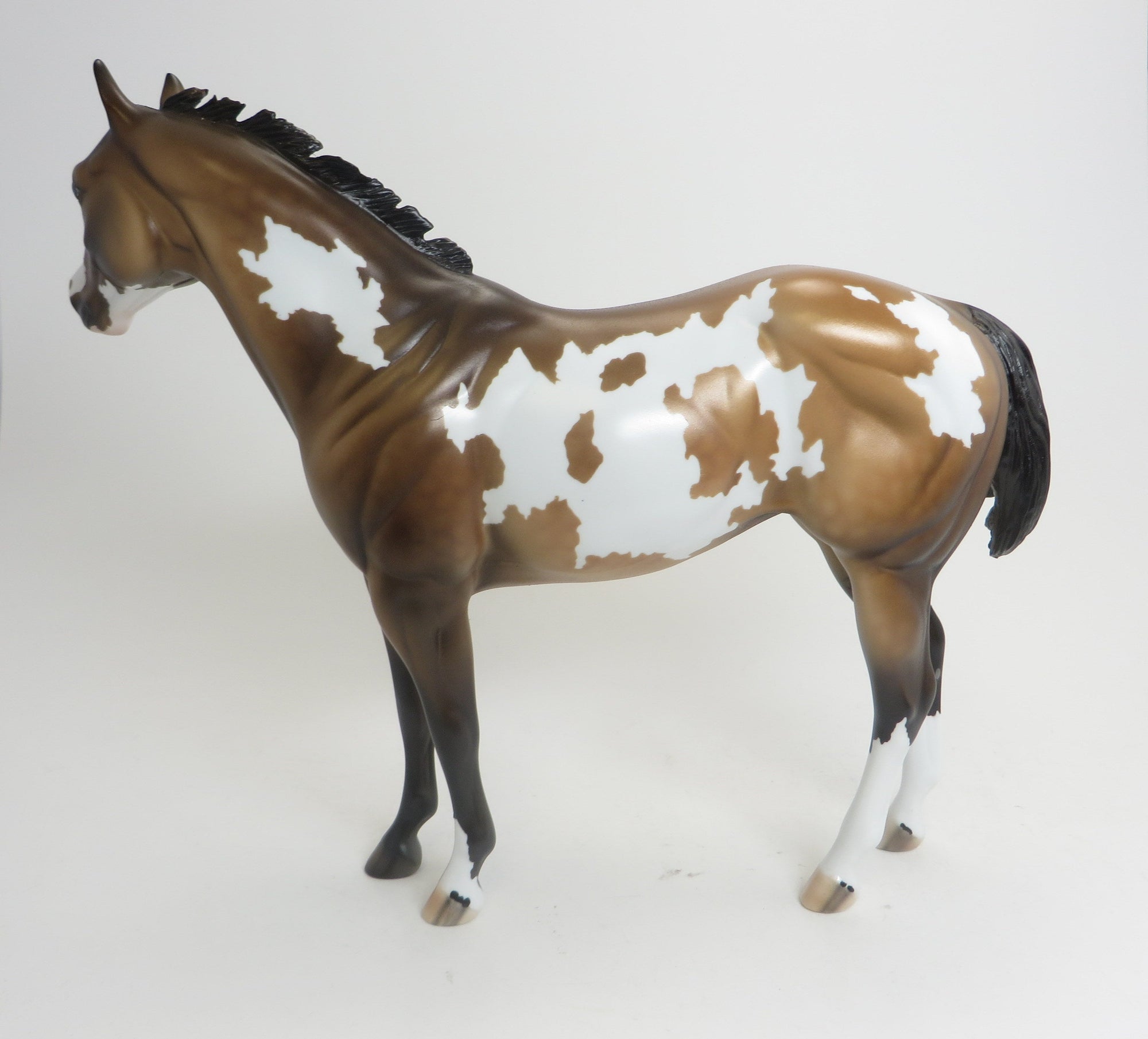 BIMISI (&quot;SLIPPERY&quot;) - OOAK Sooty Buckskin Paint ISH - 9/2