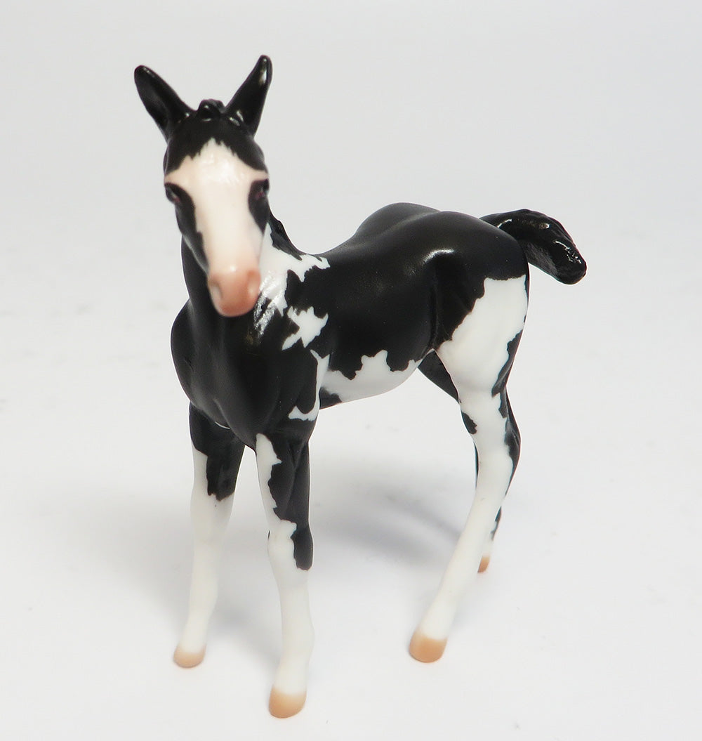 BITTY BABY-LE-4 BLACK OVERO W/ BLUE EYES FOAL CHIP BY CARRIE KELLER EQUINE AFFAIR 2017