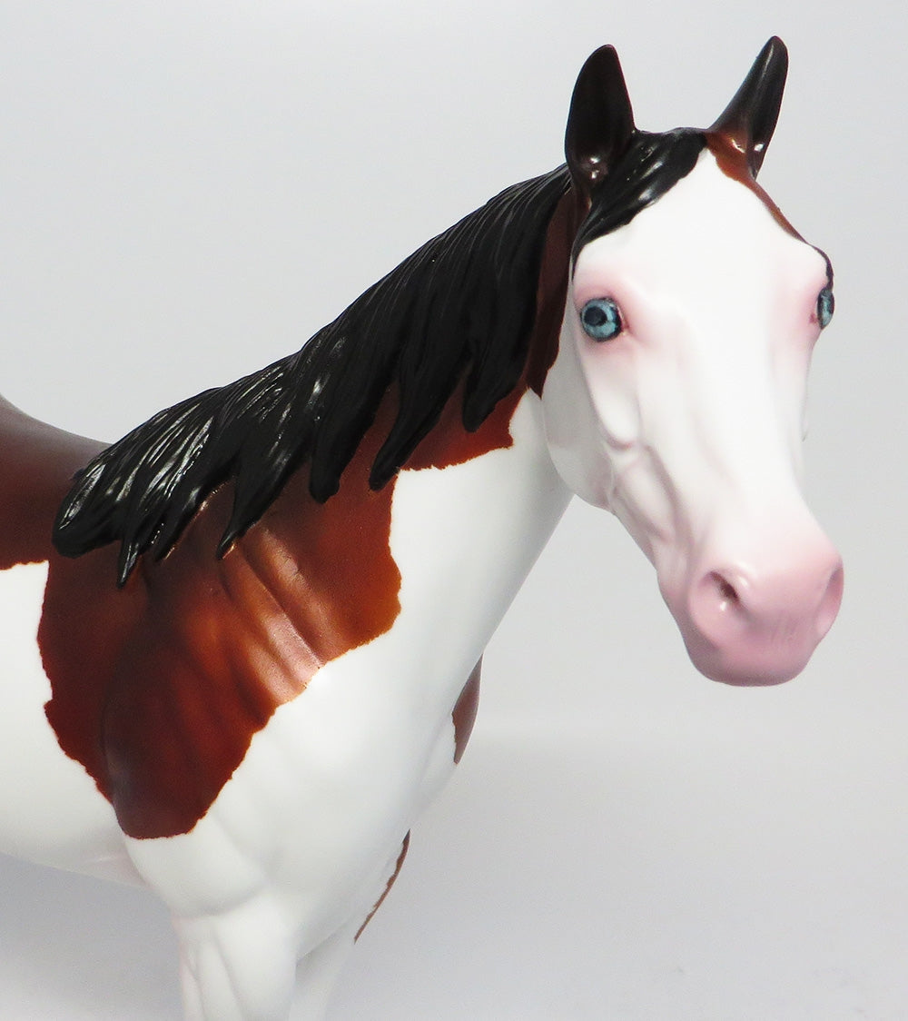BLACKFOOT-OOAK BAY SPLASH ISH MODEL HORSE EQ 2017