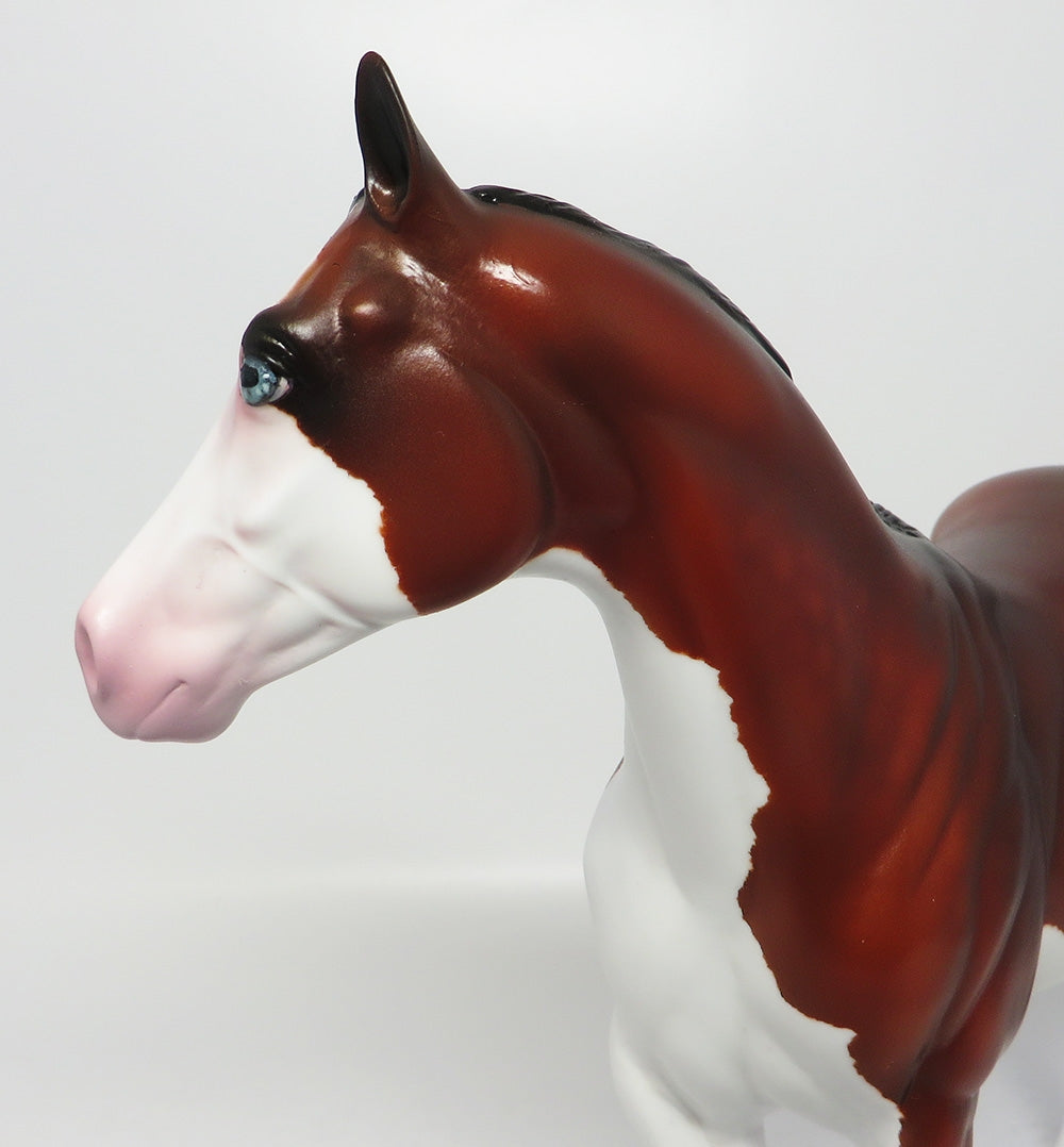 BLACKFOOT-OOAK BAY SPLASH ISH MODEL HORSE EQ 2017