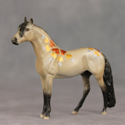 Black Hills Gold OOAK Chip Andalusian by Dawn Quick VV26