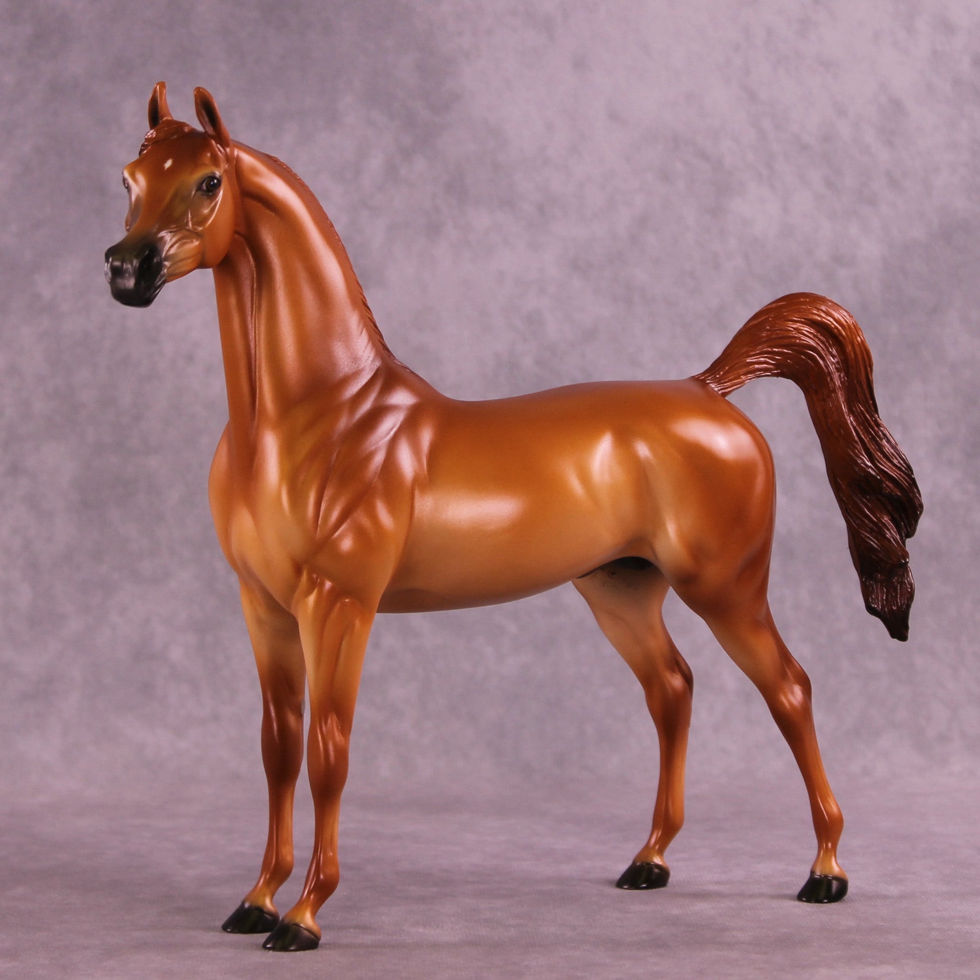 Blazing Bright OOAK FCM Arabian Stallion by Ellen Robbins HS25