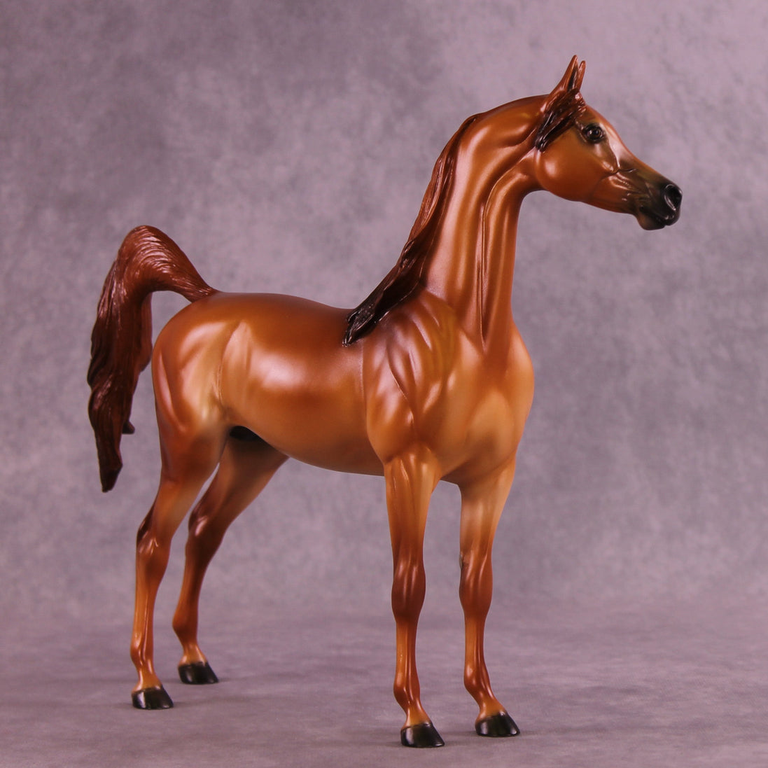 Blazing Bright OOAK FCM Arabian Stallion by Ellen Robbins HS25
