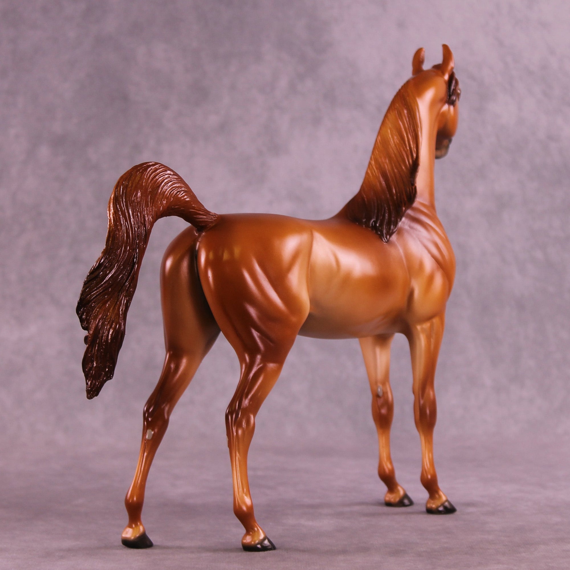 Blazing Bright OOAK FCM Arabian Stallion by Ellen Robbins HS25