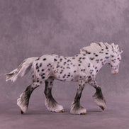 Blizzard Wizzard OOAK FCM Irish Cob by Ellen Robbins HS25