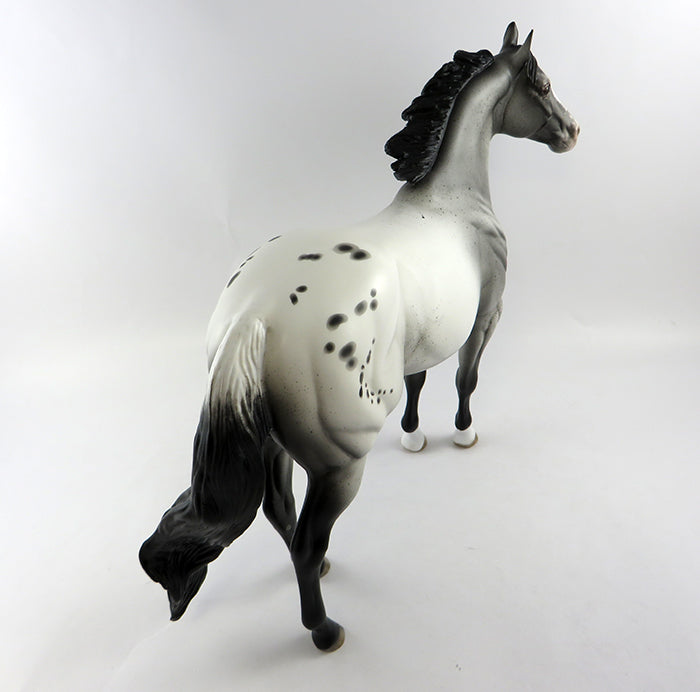 Appaloosa