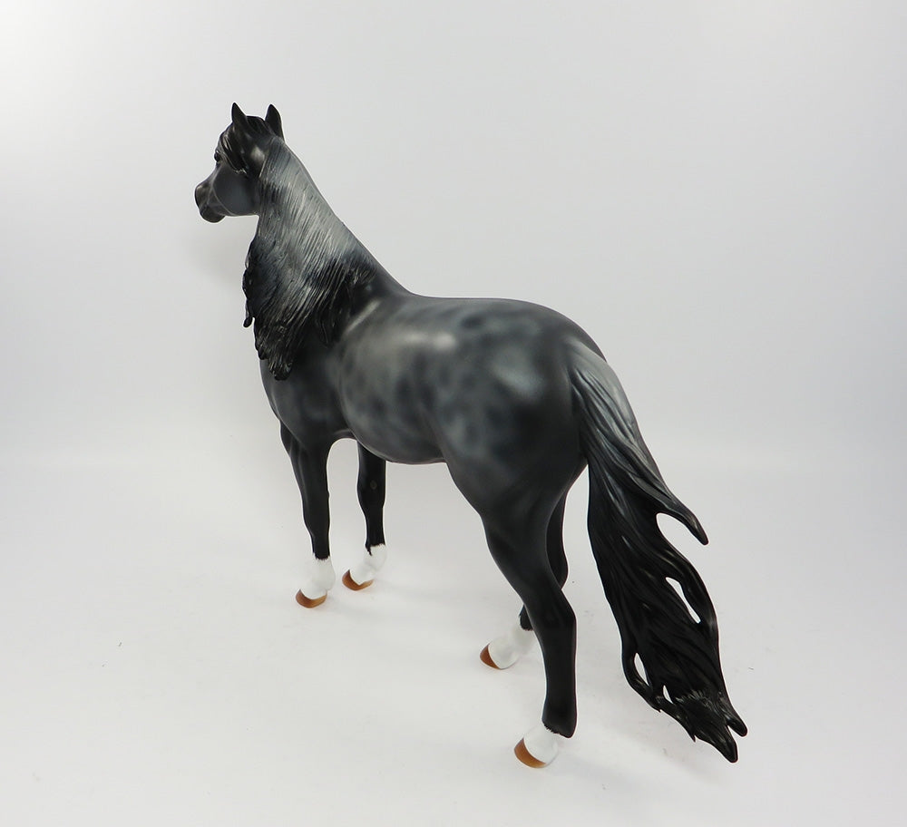 BLUEMOON-LE-2 RREVERSED DAPPLE BLUE ROAN CM MANE AND TAIL SPANISH MUSTANG EQ 2017