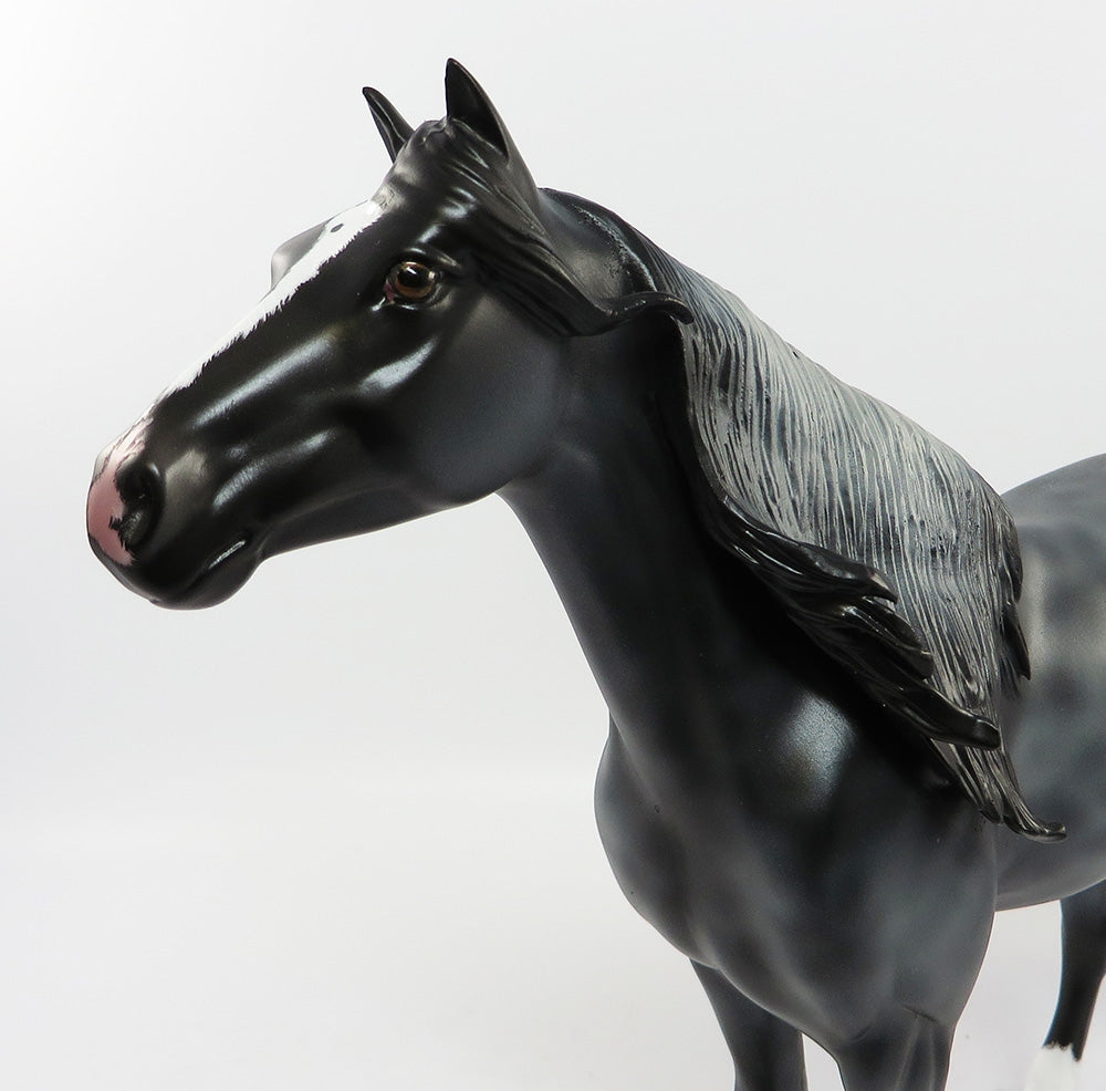 BLUEMOON-LE-2 RREVERSED DAPPLE BLUE ROAN CM MANE AND TAIL SPANISH MUSTANG EQ 2017