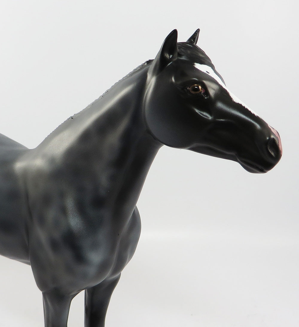 BLUEMOON-LE-2 RREVERSED DAPPLE BLUE ROAN CM MANE AND TAIL SPANISH MUSTANG EQ 2017