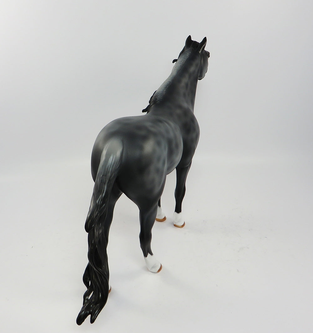 BLUEMOON-LE-2 RREVERSED DAPPLE BLUE ROAN CM MANE AND TAIL SPANISH MUSTANG EQ 2017