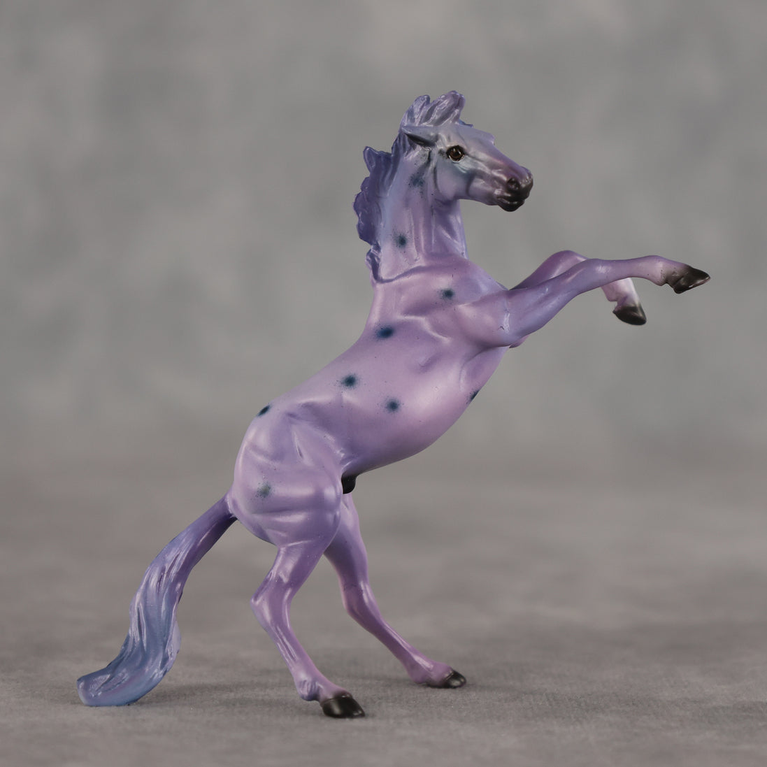 Blueberry OOAK Chip Mustang by Dawn Quick SCD26