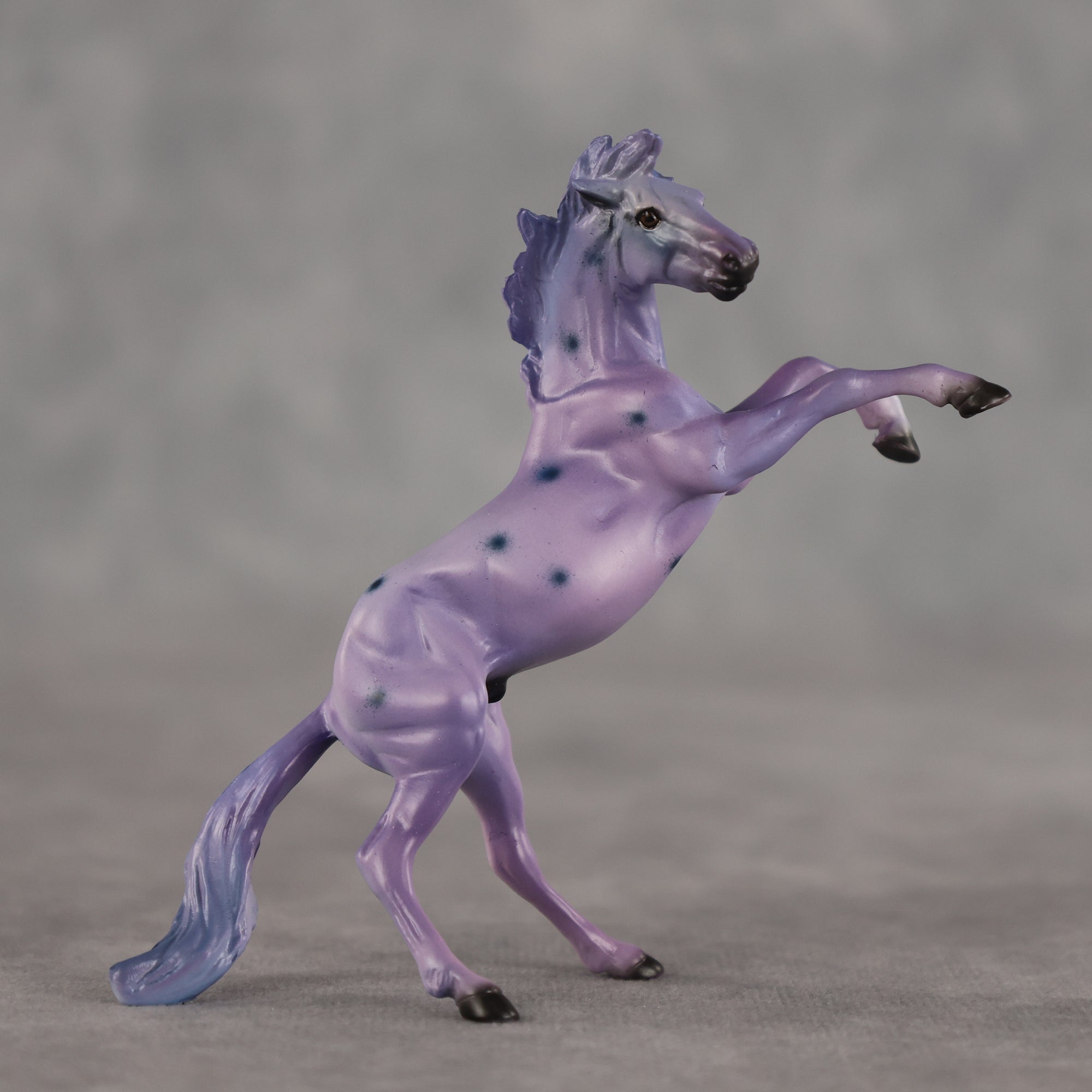 Blueberry OOAK Chip Mustang by Dawn Quick SCD26