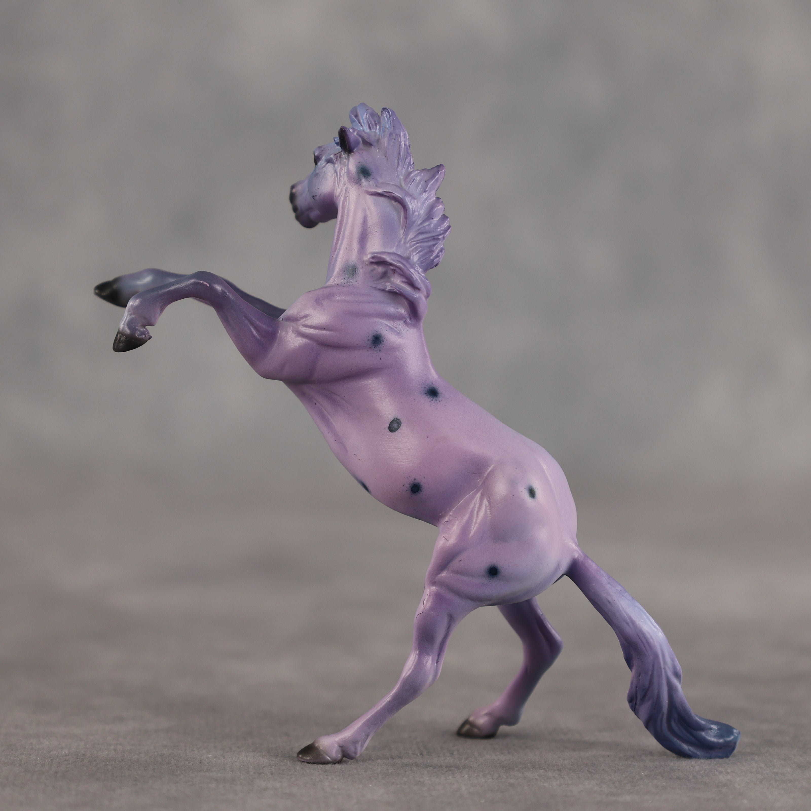 Blueberry OOAK Chip Mustang by Dawn Quick SCD26
