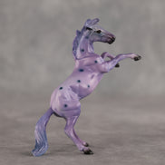Blueberry OOAK Chip Mustang by Dawn Quick SCD26