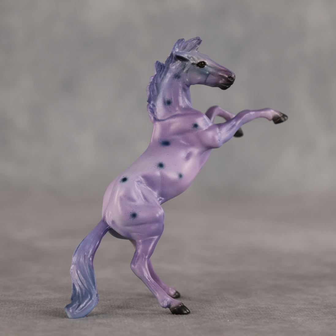 Blueberry OOAK Chip Mustang by Dawn Quick SCD26