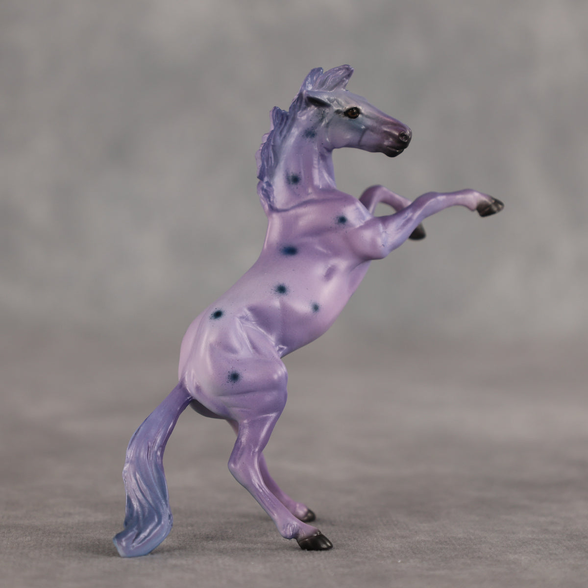 Blueberry OOAK Chip Mustang by Dawn Quick SCD26