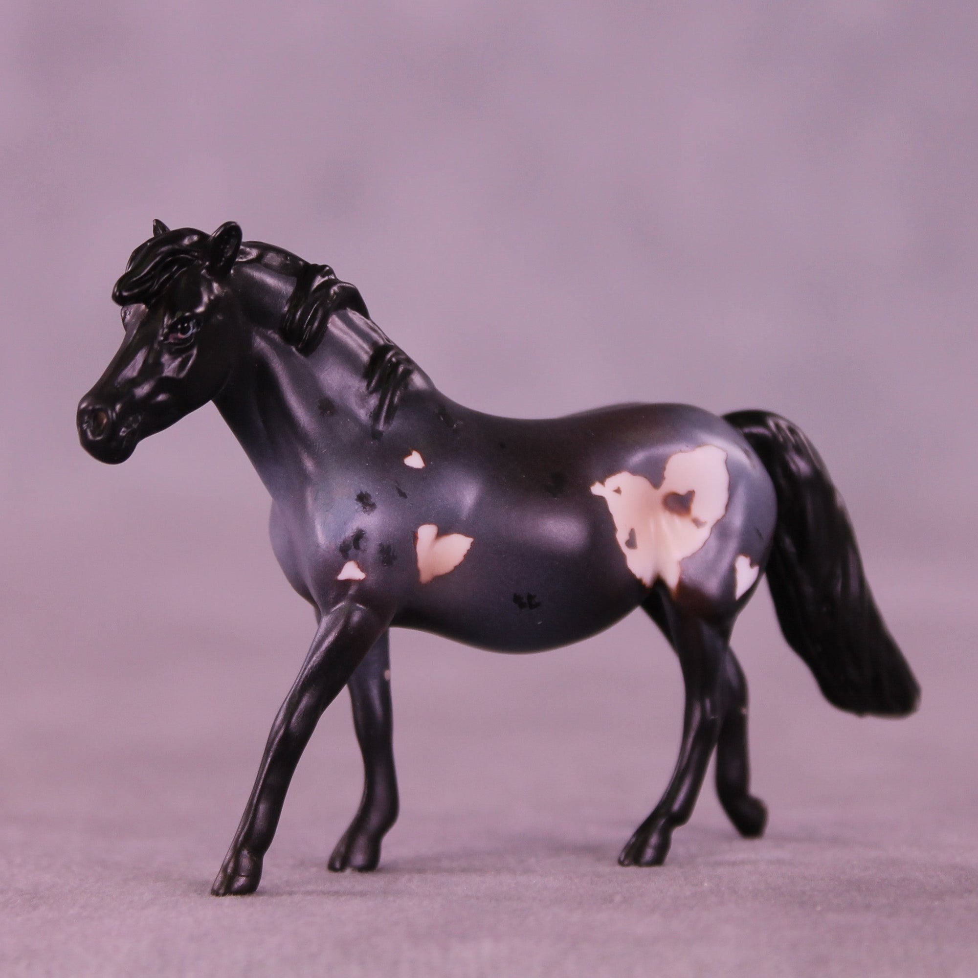 Blueberry Truffle OOAK Chip Pony by Anna Rieck VV26