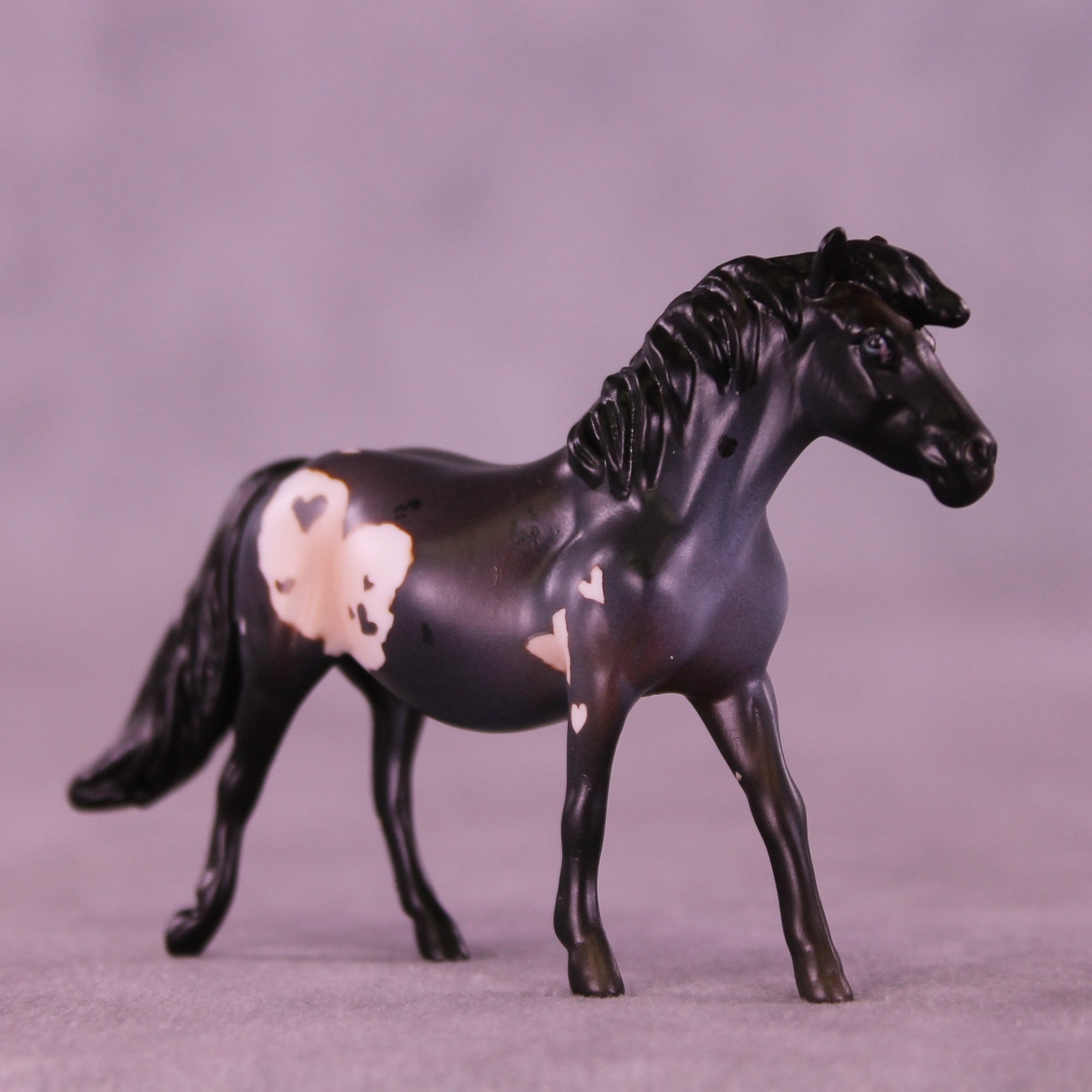 Blueberry Truffle OOAK Chip Pony by Anna Rieck VV26