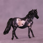 Blueberry Truffle OOAK Chip Pony by Anna Rieck VV26