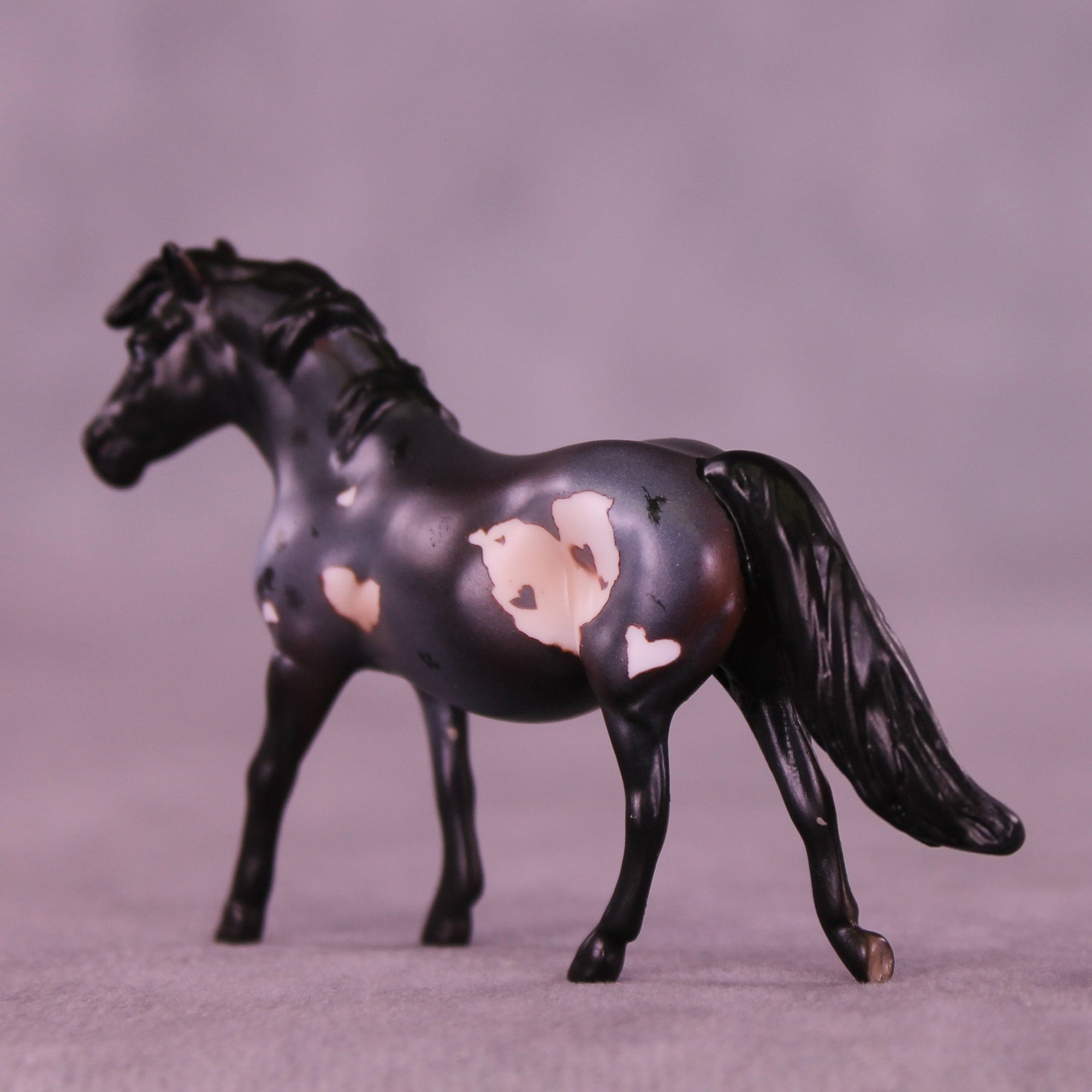 Blueberry Truffle OOAK Chip Pony by Anna Rieck VV26